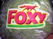 Foxy lettuce