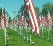 Healing Field in Salem Oregon