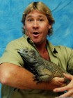 steve irwin