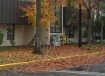 leaves clogging drains