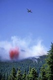 Marion Lake 