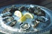 oysters