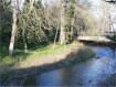 Pringle Creek 