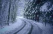 snowy road in Oregon
