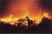 Wildland firefighter with flames