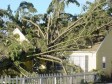 A home near Albany struck by a tree that fell during the Feb. 7th 2002